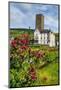 Vineyard in Front of the Bruemserburg in Ruedesheim (Rudesheim) on the River Rhine-Michael Runkel-Mounted Photographic Print