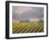 Vineyard in northern California, Sonoma, California, USA-Alan Klehr-Framed Photographic Print