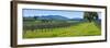 Vineyard in Sonoma Valley, California, USA-null-Framed Photographic Print