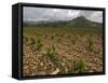 Vineyard in stony soil with San Vicente de la Sonsierra Village, La Rioja, Spain-Janis Miglavs-Framed Stretched Canvas