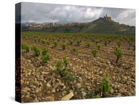 Vineyard in stony soil with San Vicente de la Sonsierra Village, La Rioja, Spain-Janis Miglavs-Stretched Canvas