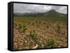 Vineyard in stony soil with San Vicente de la Sonsierra Village, La Rioja, Spain-Janis Miglavs-Framed Stretched Canvas