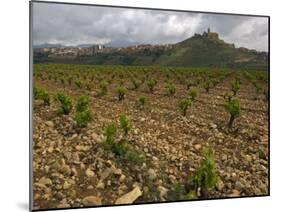Vineyard in stony soil with San Vicente de la Sonsierra Village, La Rioja, Spain-Janis Miglavs-Mounted Photographic Print