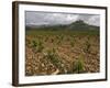 Vineyard in stony soil with San Vicente de la Sonsierra Village, La Rioja, Spain-Janis Miglavs-Framed Photographic Print