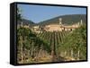 Vineyard in the Chianti Classico Region North of Siena, Tuscany, Italy, Europe-Short Michael-Framed Stretched Canvas