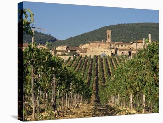 Vineyard in the Chianti Classico Region North of Siena, Tuscany, Italy, Europe-Short Michael-Stretched Canvas