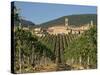 Vineyard in the Chianti Classico Region North of Siena, Tuscany, Italy, Europe-Short Michael-Stretched Canvas