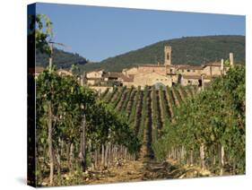 Vineyard in the Chianti Classico Region North of Siena, Tuscany, Italy, Europe-Short Michael-Stretched Canvas