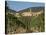 Vineyard in the Chianti Classico Region North of Siena, Tuscany, Italy, Europe-Short Michael-Stretched Canvas