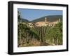 Vineyard in the Chianti Classico Region North of Siena, Tuscany, Italy, Europe-Short Michael-Framed Photographic Print