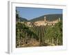 Vineyard in the Chianti Classico Region North of Siena, Tuscany, Italy, Europe-Short Michael-Framed Photographic Print