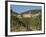 Vineyard in the Chianti Classico Region North of Siena, Tuscany, Italy, Europe-Short Michael-Framed Photographic Print