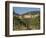 Vineyard in the Chianti Classico Region North of Siena, Tuscany, Italy, Europe-Short Michael-Framed Photographic Print