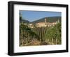 Vineyard in the Chianti Classico Region North of Siena, Tuscany, Italy, Europe-Short Michael-Framed Photographic Print