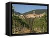 Vineyard in the Chianti Classico Region North of Siena, Tuscany, Italy, Europe-Short Michael-Framed Stretched Canvas