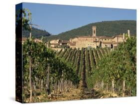 Vineyard in the Chianti Classico Region North of Siena, Tuscany, Italy, Europe-Short Michael-Stretched Canvas