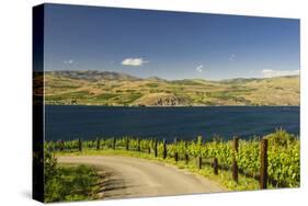 Vineyard in the Lake Chelan AVA, Washington, USA-Richard Duval-Stretched Canvas