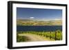Vineyard in the Lake Chelan AVA, Washington, USA-Richard Duval-Framed Photographic Print