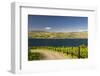 Vineyard in the Lake Chelan AVA, Washington, USA-Richard Duval-Framed Photographic Print