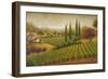 Vineyard in the Sun I-Michael Marcon-Framed Art Print