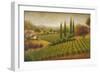 Vineyard in the Sun I-Michael Marcon-Framed Art Print