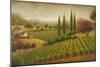 Vineyard in the Sun I-Michael Marcon-Mounted Art Print