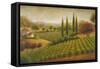 Vineyard in the Sun I-Michael Marcon-Framed Stretched Canvas