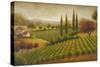 Vineyard in the Sun I-Michael Marcon-Stretched Canvas