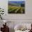 Vineyard in the Willamette Valley, Oregon, USA-Janis Miglavs-Photographic Print displayed on a wall