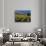 Vineyard in the Willamette Valley, Oregon, USA-Janis Miglavs-Photographic Print displayed on a wall