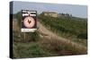 Vineyard in Tuscany-Vittoriano Rastelli-Stretched Canvas