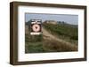 Vineyard in Tuscany-Vittoriano Rastelli-Framed Photographic Print