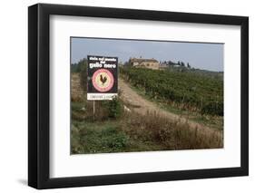 Vineyard in Tuscany-Vittoriano Rastelli-Framed Photographic Print