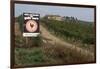 Vineyard in Tuscany-Vittoriano Rastelli-Framed Photographic Print