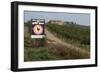 Vineyard in Tuscany-Vittoriano Rastelli-Framed Photographic Print