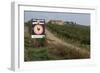 Vineyard in Tuscany-Vittoriano Rastelli-Framed Photographic Print