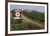 Vineyard in Tuscany-Vittoriano Rastelli-Framed Photographic Print