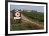 Vineyard in Tuscany-Vittoriano Rastelli-Framed Photographic Print