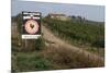 Vineyard in Tuscany-Vittoriano Rastelli-Mounted Photographic Print