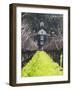 Vineyard in Winter, Rubicon Estate Vineyard, Rutherford, Napa Valley Wine Country, California, Usa-Walter Bibikow-Framed Photographic Print