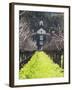 Vineyard in Winter, Rubicon Estate Vineyard, Rutherford, Napa Valley Wine Country, California, Usa-Walter Bibikow-Framed Photographic Print