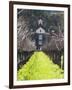 Vineyard in Winter, Rubicon Estate Vineyard, Rutherford, Napa Valley Wine Country, California, Usa-Walter Bibikow-Framed Photographic Print