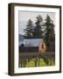 Vineyard in Winter, Rutherford, Napa Valley Wine Country, Northern California, Usa-Walter Bibikow-Framed Photographic Print