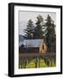 Vineyard in Winter, Rutherford, Napa Valley Wine Country, Northern California, Usa-Walter Bibikow-Framed Photographic Print