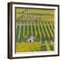 Vineyard Kappelberg, Herbst, Baden-Wurttemberg, Germany, Europe-Stefan Schurr-Framed Photographic Print