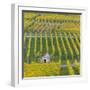 Vineyard Kappelberg, Herbst, Baden-Wurttemberg, Germany, Europe-Stefan Schurr-Framed Photographic Print