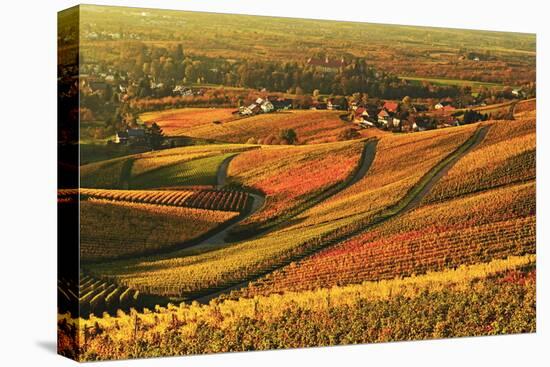 Vineyard Landscape and Blumberg Village-Jochen Schlenker-Stretched Canvas