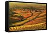 Vineyard Landscape and Blumberg Village-Jochen Schlenker-Framed Stretched Canvas