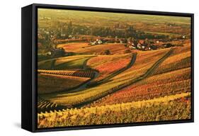 Vineyard Landscape and Blumberg Village-Jochen Schlenker-Framed Stretched Canvas