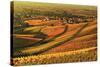 Vineyard Landscape and Blumberg Village-Jochen Schlenker-Stretched Canvas